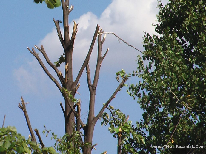 Липа след ромско нашествие