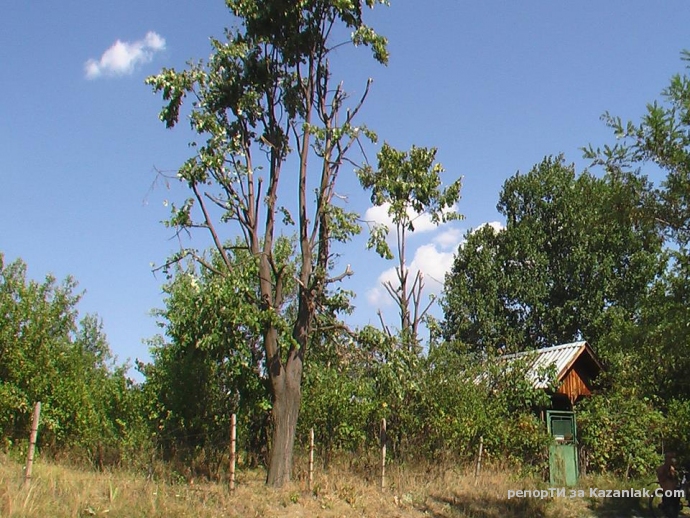 Липа след ромско нашествие