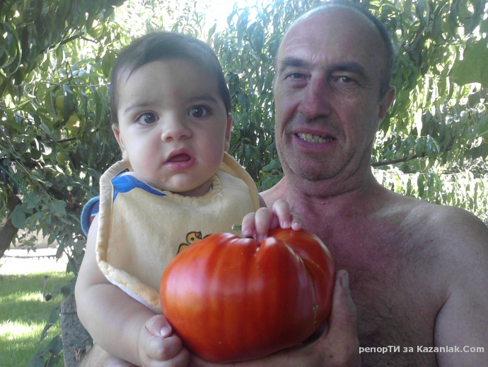 Голям домат