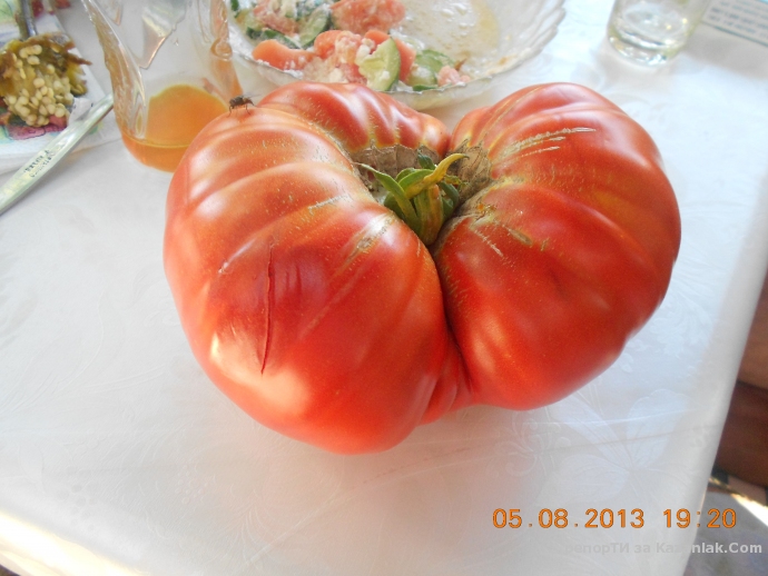 Голям домат