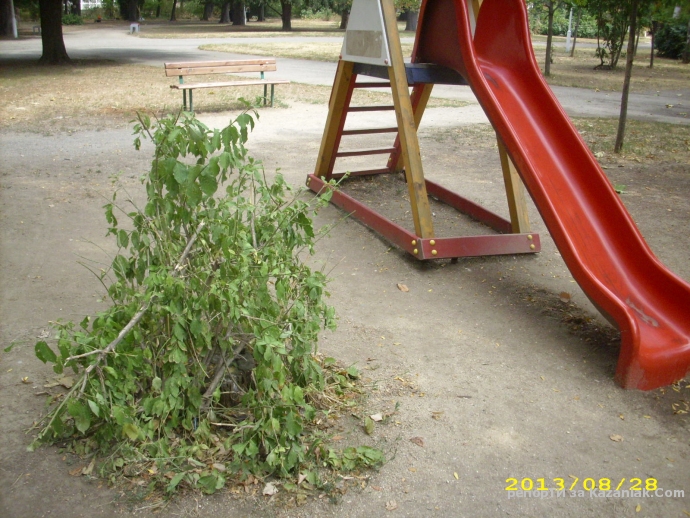 Гнездо на оси на детската площадка в парк  Розариум