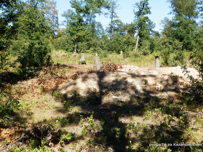 Безумна сеч в дъбовата гора по пътя за язовира