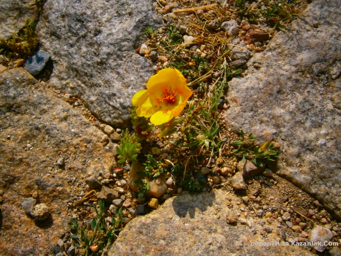 Нищо не е толкова трудно,колкото изглежда...