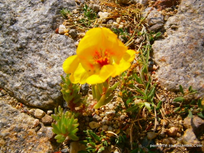 Нищо не е толкова трудно,колкото изглежда...