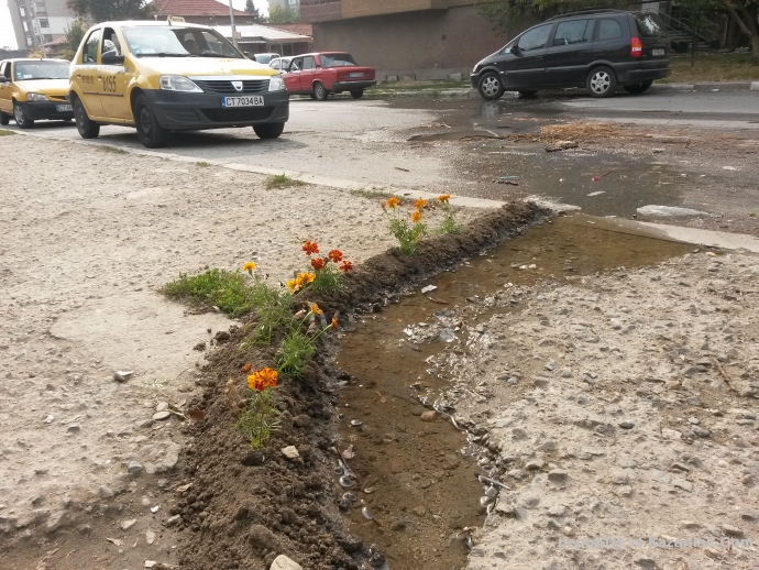 Поне си имаме градинка вече НА ТРОТОАРА и място където да се къпят птичките