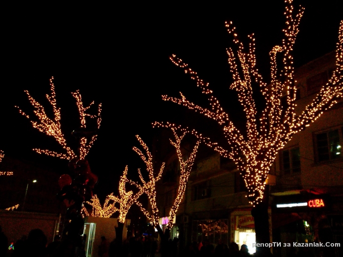 Според мен точно тези дръвчета изглеждат страхотно с коледната украсата!