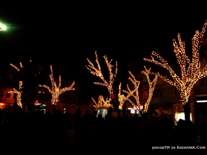 Според мен точно тези дръвчета изглеждат страхотно с коледната украсата!