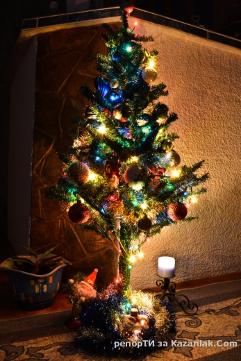 Моята коледна елха