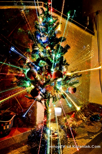 Моята коледна елха