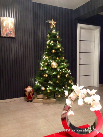 Коледна елха