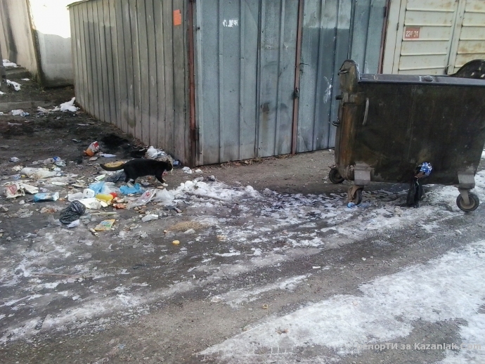 Боклуци и мизерия по улиците