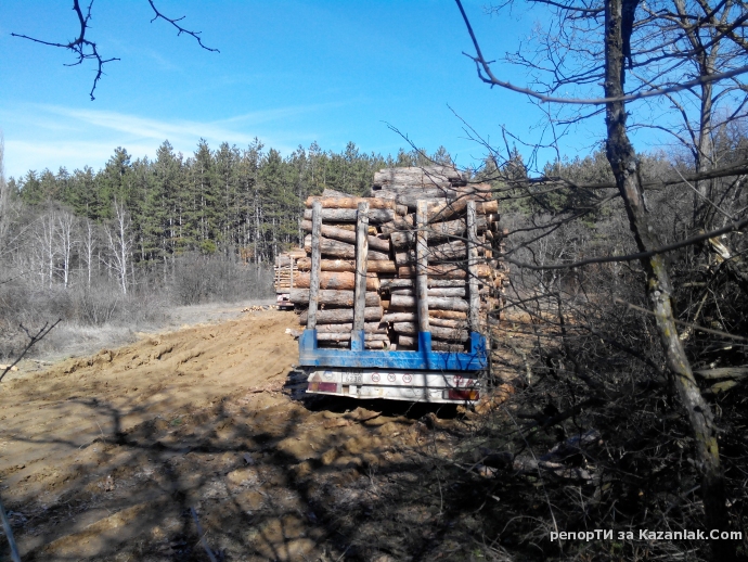 Mила родино!