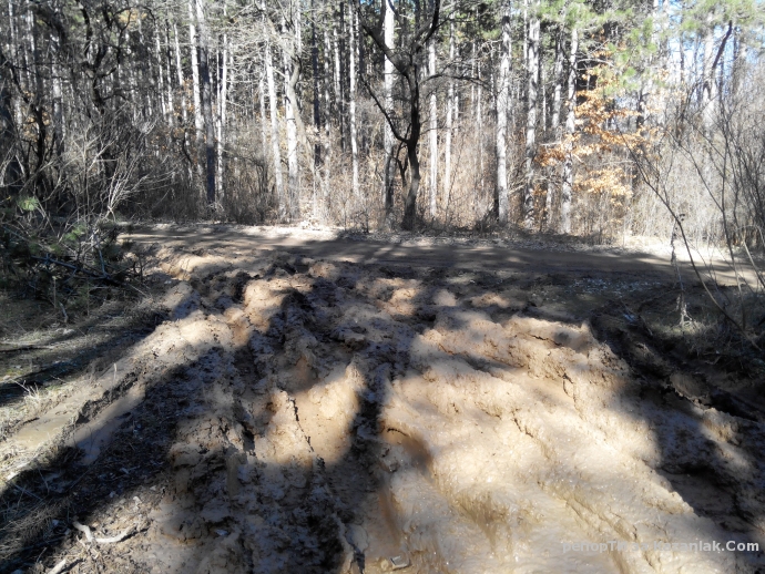 Mила родино!