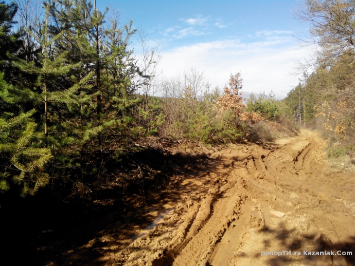 Mила родино!