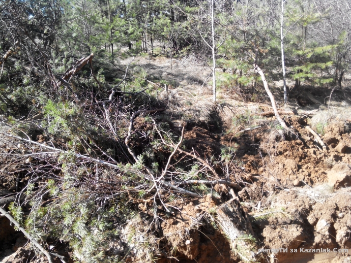 Mила родино!