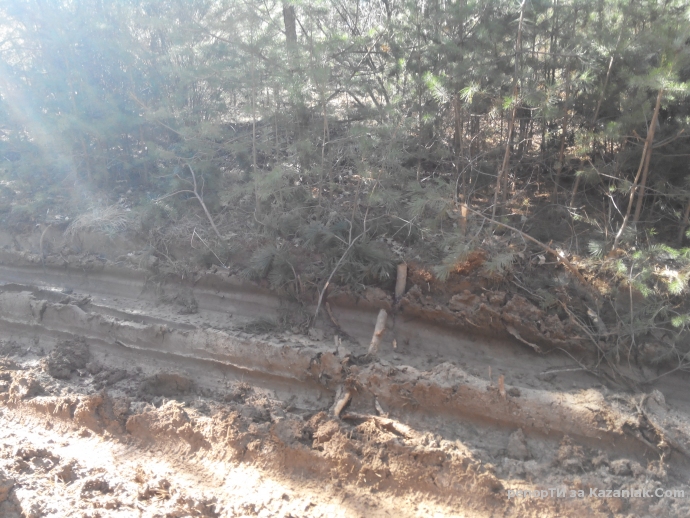 Mила родино!