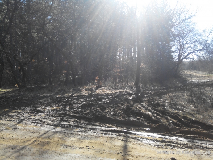 Mила родино!