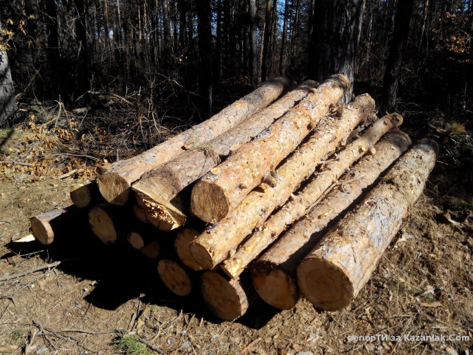 Mила родино!