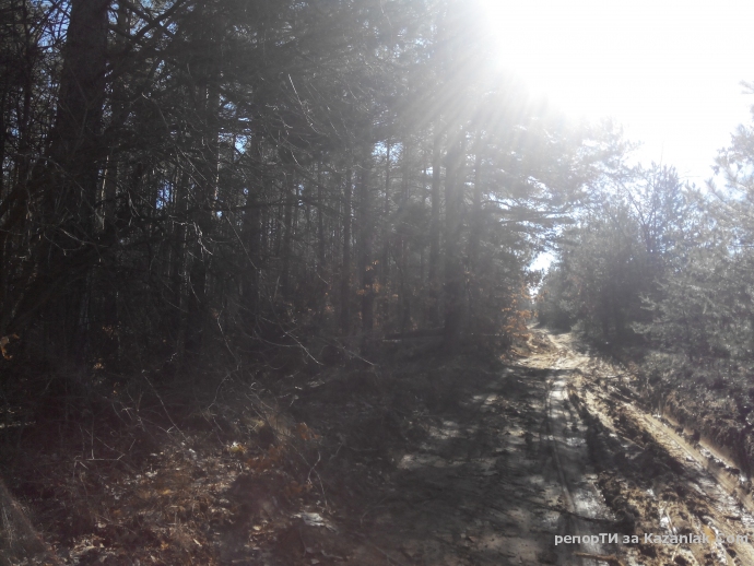 Mила родино!