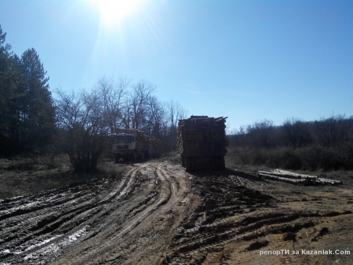 Mила родино!