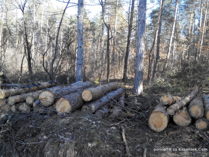 Mила родино!
