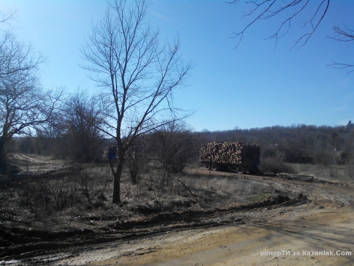 Mила родино!