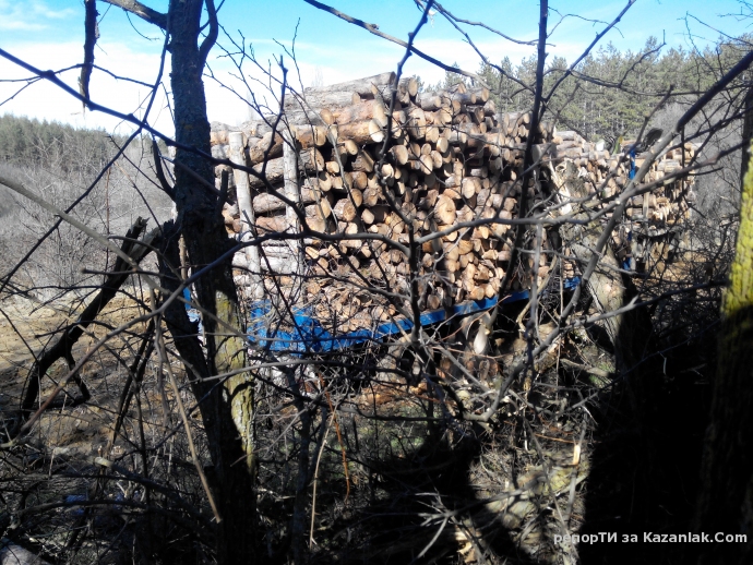 Mила родино!