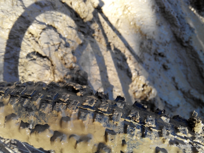 Mила родино!