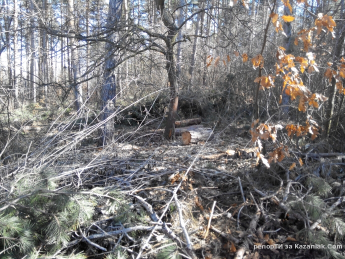 Mила родино!