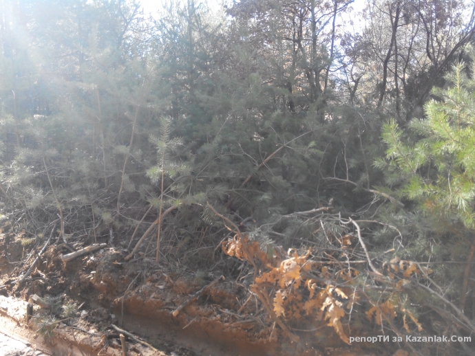 Mила родино!