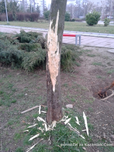 Отново за парк ”Васил Левски”