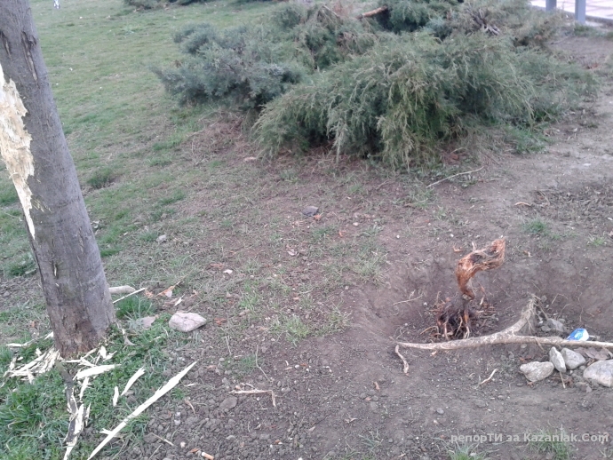 Отново за парк ”Васил Левски”