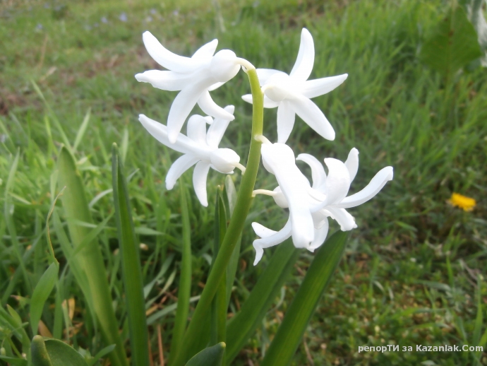 Пролет идва