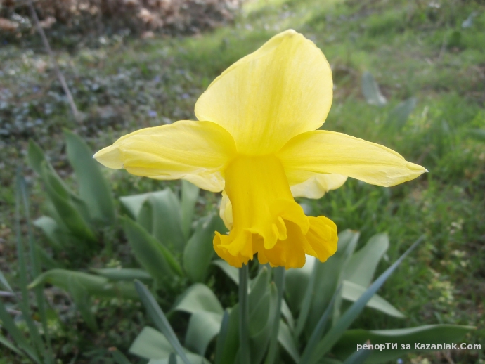 Пролет идва