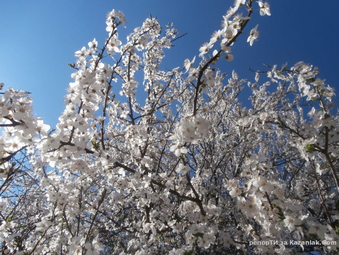 Пролетта идва днес 