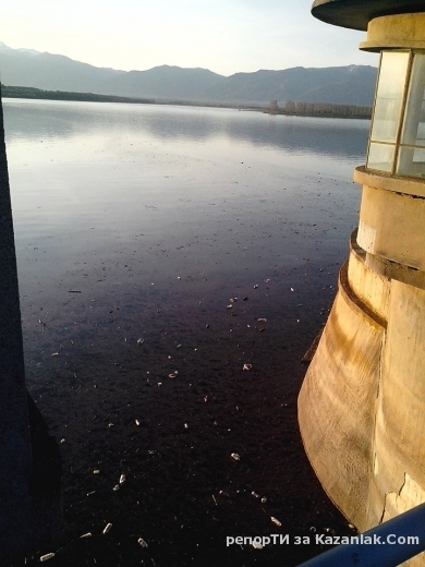 Язовир Копринка - ”Природа”