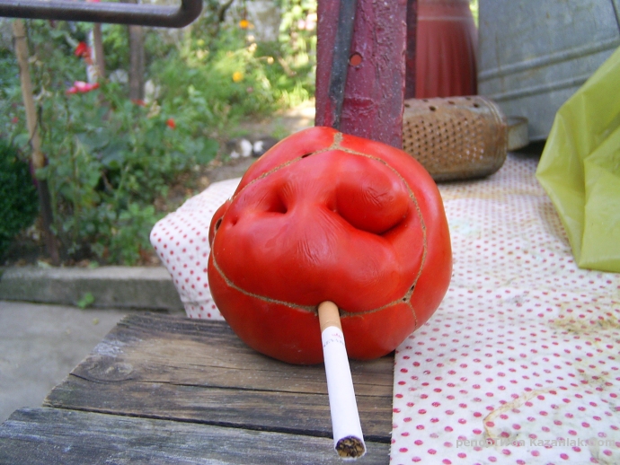 ПРИЯТЕН ДЕН КАЗАНЛЪК