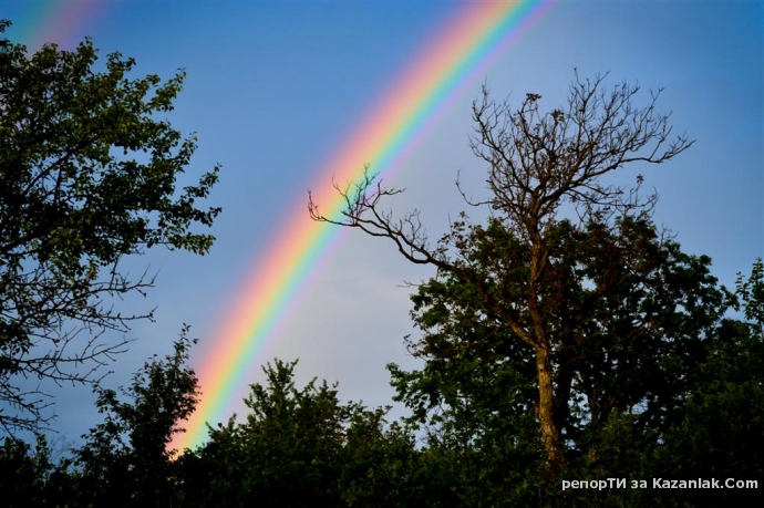 Моля, кажете не на шега...