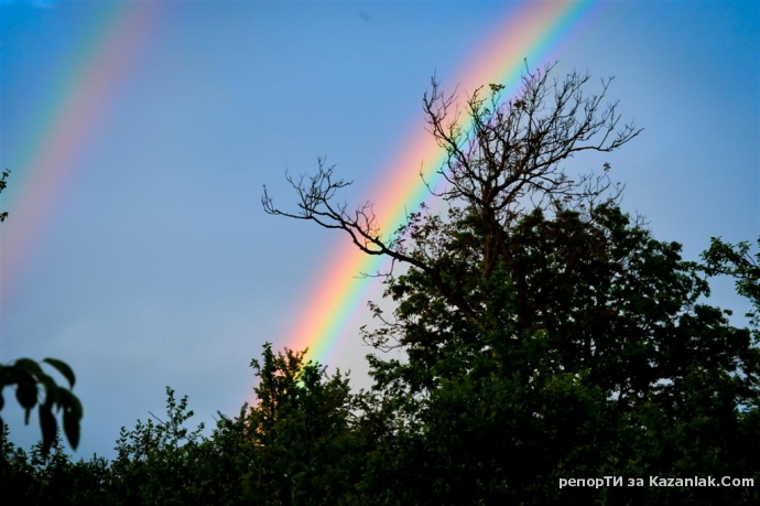 Моля, кажете не на шега...