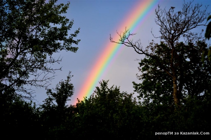 Моля, кажете не на шега...
