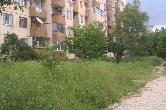 Кога ще се окоси междублоковото пространсво в квлВ.Левски-бл.45