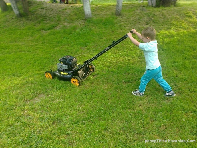 Ако сами не си окосим сами ще потънем в мизерия и змии