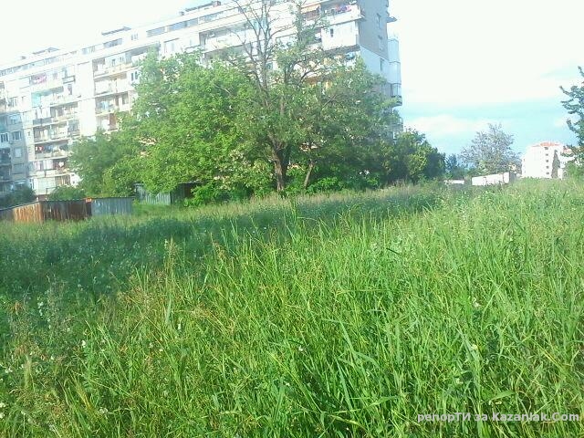 Кога ще се окоси пространството южно от блок № 39 и на изток от парк  ”В. Левски”