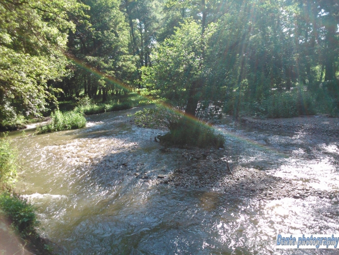 Ден на околната среда