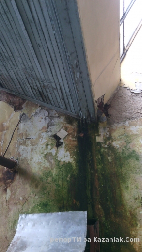 Ученическа практика