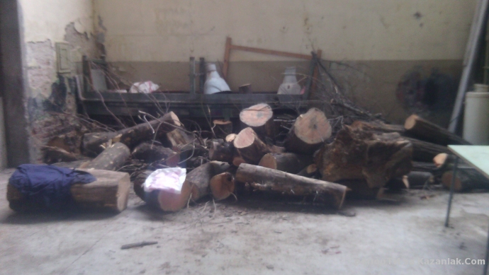 Ученическа практика