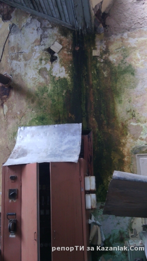 Ученическа практика