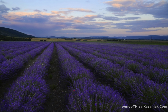 Залеза в нашата община след дъжда в събота