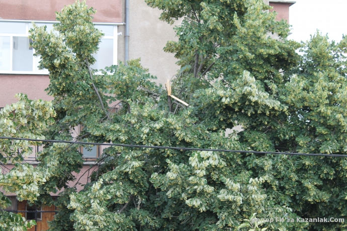 След бурята