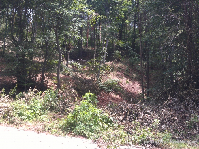 ”Законна сеч”